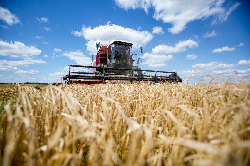 Grain Alliance привлекает €7 млн. от ЕБРР